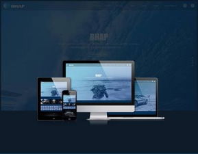 婆婆子官方网站正式上线