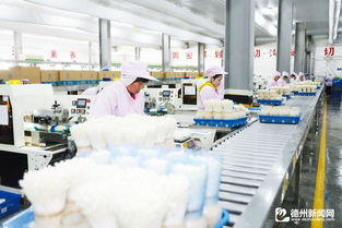 山东雪榕生物 工厂化生产 小菌菇直供京津冀