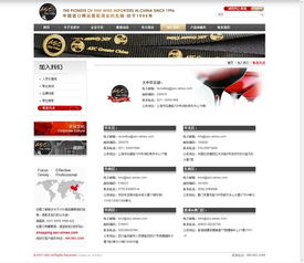 网站建设公司永灿案例 圣皮尔集团官网