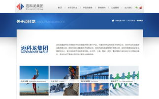迈科龙官方网站设计制作 成功案例 沙漠风网站建设公司