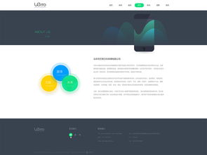 ui设计网站建设产品建设 网站制作