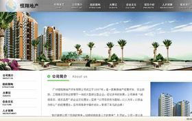 商丘网站建设 选择专业网络公司，打造卓越网站