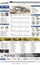 携手共建 蚂蚁娃娃电子商务网站建设方案